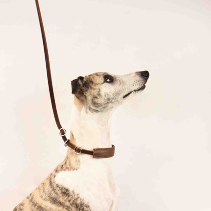 SHOW Ausstellungsleine mit Kehlkopfschutz | Showleine für Hunde