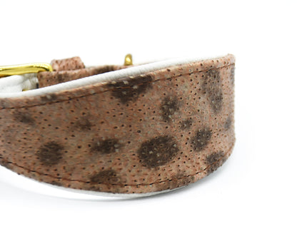 STEINBEIßER Halsband | Einzigartiges Fischleder-Halsband für Windhunde