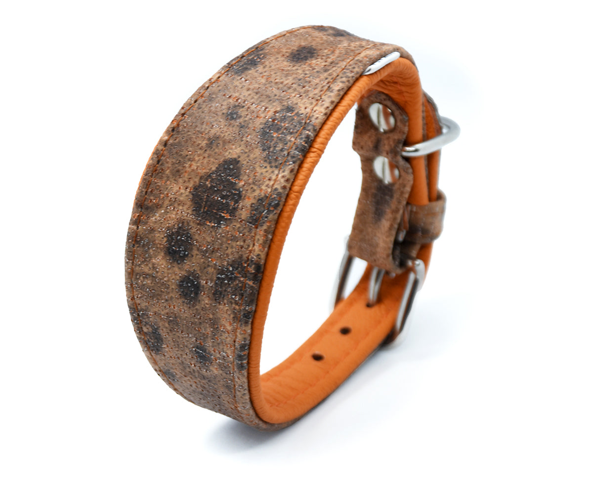 STEINBEIßER Halsband | Einzigartiges Fischleder-Halsband für Windhunde