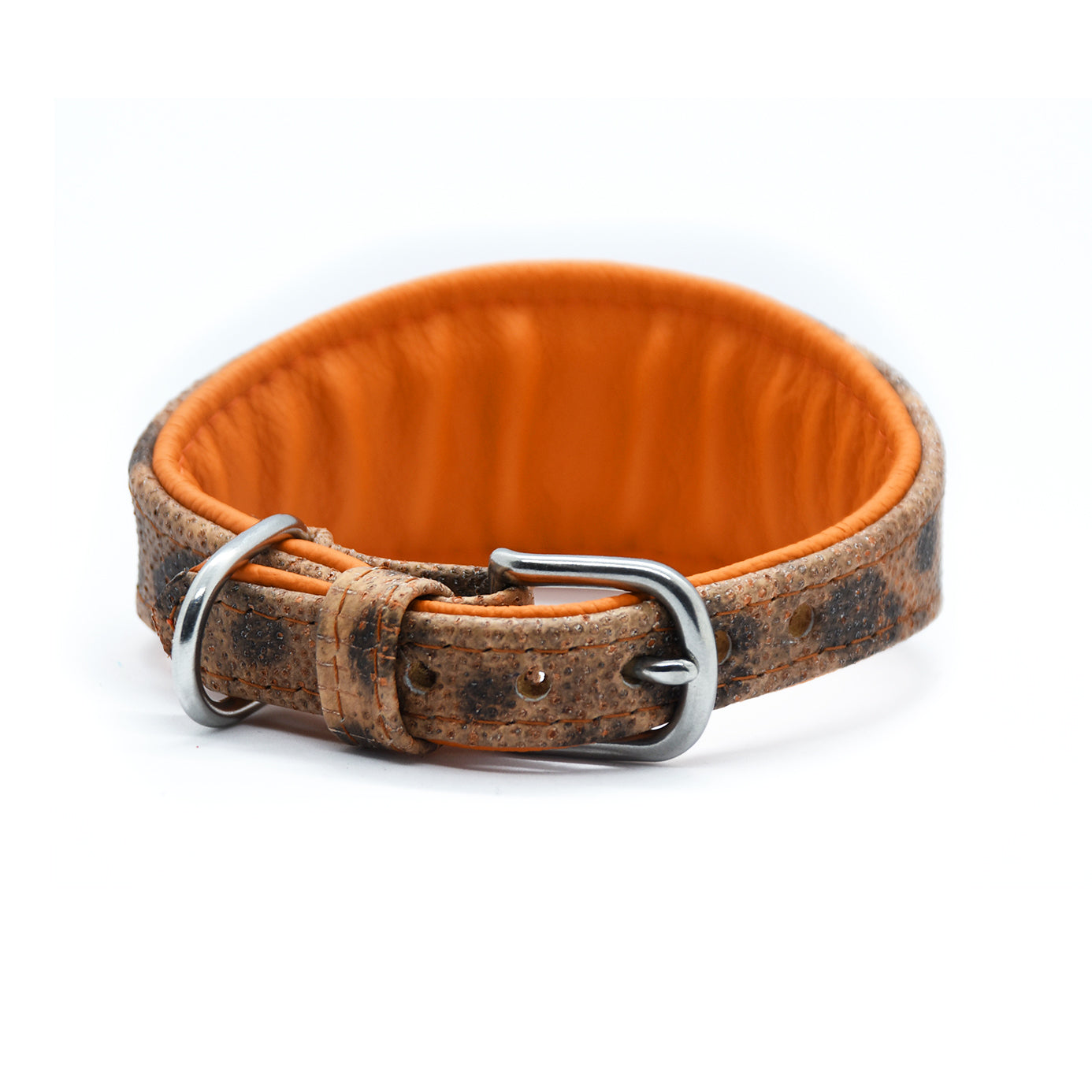 STEINBEIßER Halsband | Einzigartiges Fischleder-Halsband für Windhunde