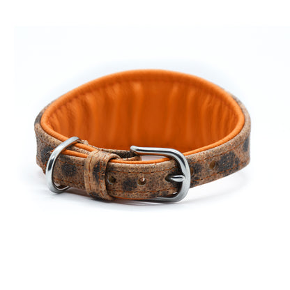 STEINBEIßER Halsband | Einzigartiges Fischleder-Halsband für Windhunde