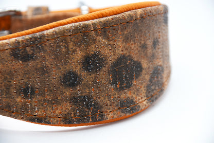 STEINBEIßER Halsband | Einzigartiges Fischleder-Halsband für Windhunde