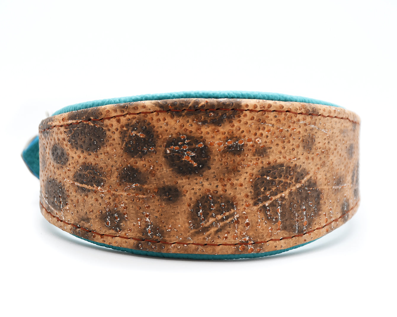 STEINBEIßER Halsband | Einzigartiges Fischleder-Halsband für Windhunde