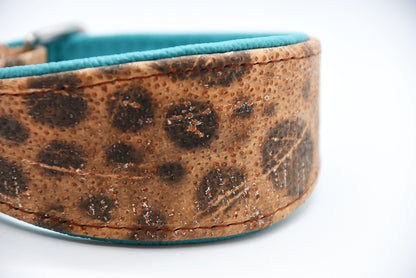 STEINBEIßER Halsband | Einzigartiges Fischleder-Halsband für Windhunde