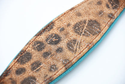 STEINBEIßER Halsband | Einzigartiges Fischleder-Halsband für Windhunde