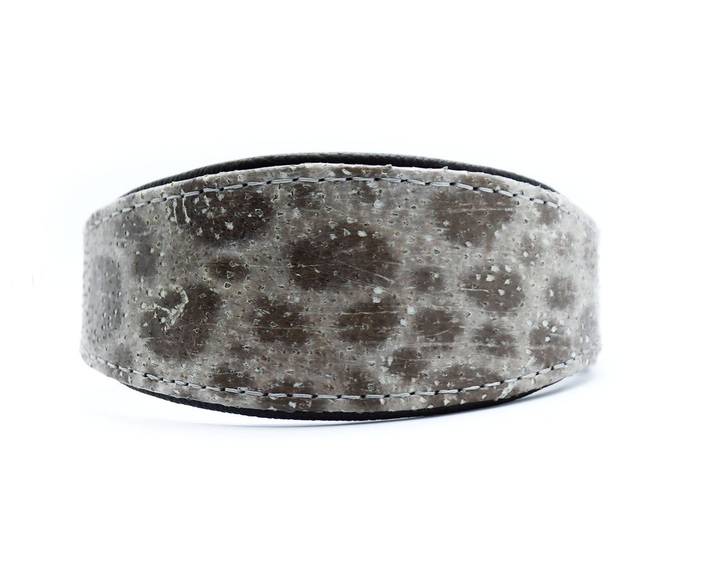 STEINBEIßER Halsband | Einzigartiges Fischleder-Halsband für Windhunde