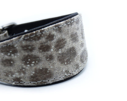 STEINBEIßER Halsband | Einzigartiges Fischleder-Halsband für Windhunde
