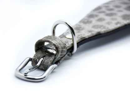 STEINBEIßER Halsband | Einzigartiges Fischleder-Halsband für Windhunde