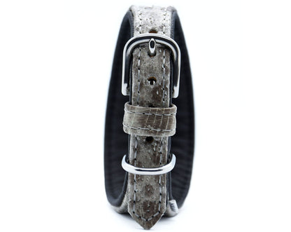 STEINBEIßER Halsband | Einzigartiges Fischleder-Halsband für Windhunde