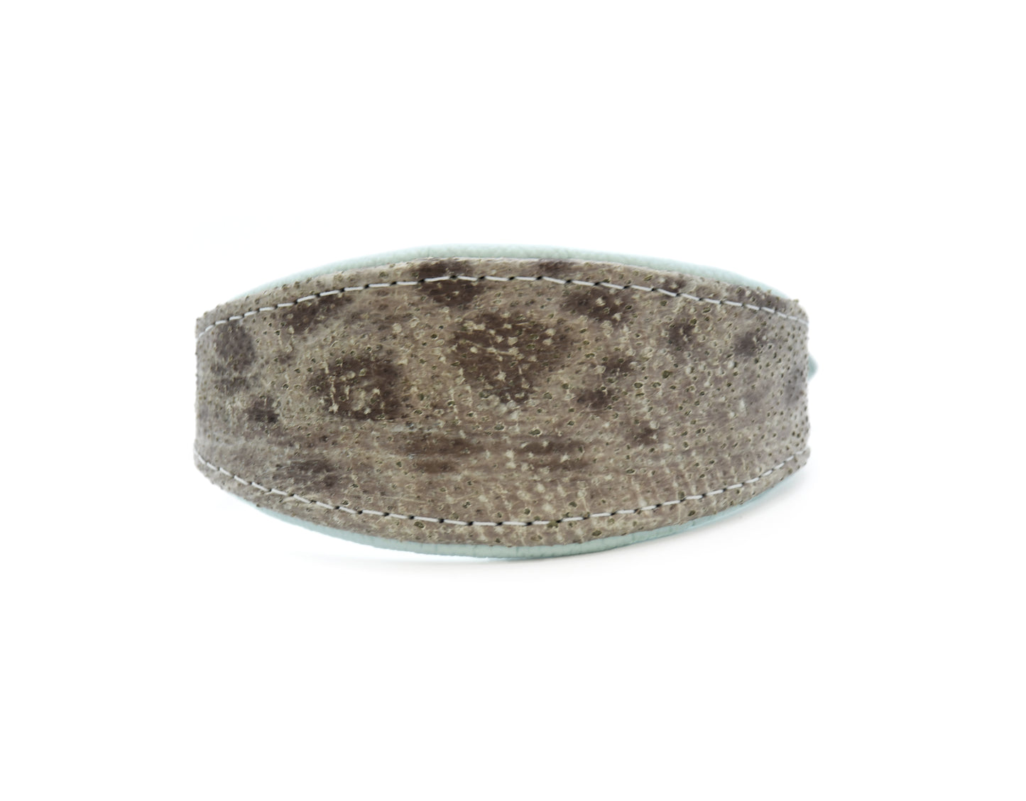 STEINBEIßER Halsband | Einzigartiges Fischleder-Halsband für Windhunde