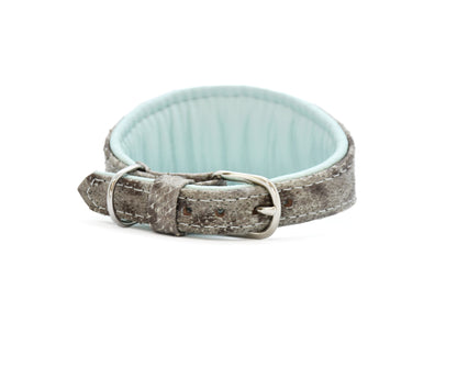 STEINBEIßER Halsband | Einzigartiges Fischleder-Halsband für Windhunde