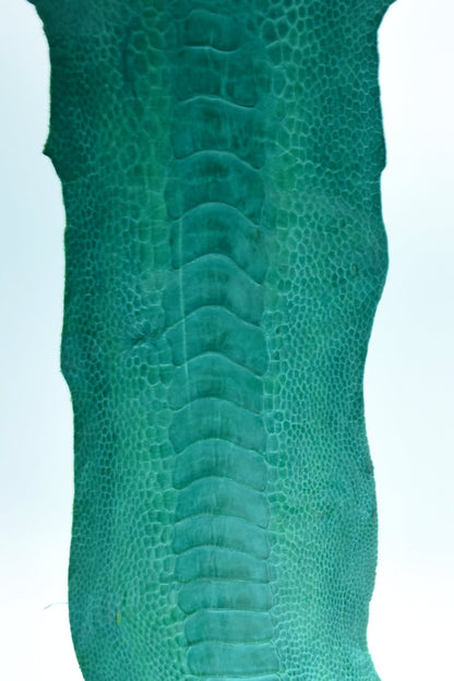 Straußenbeinleder türkis