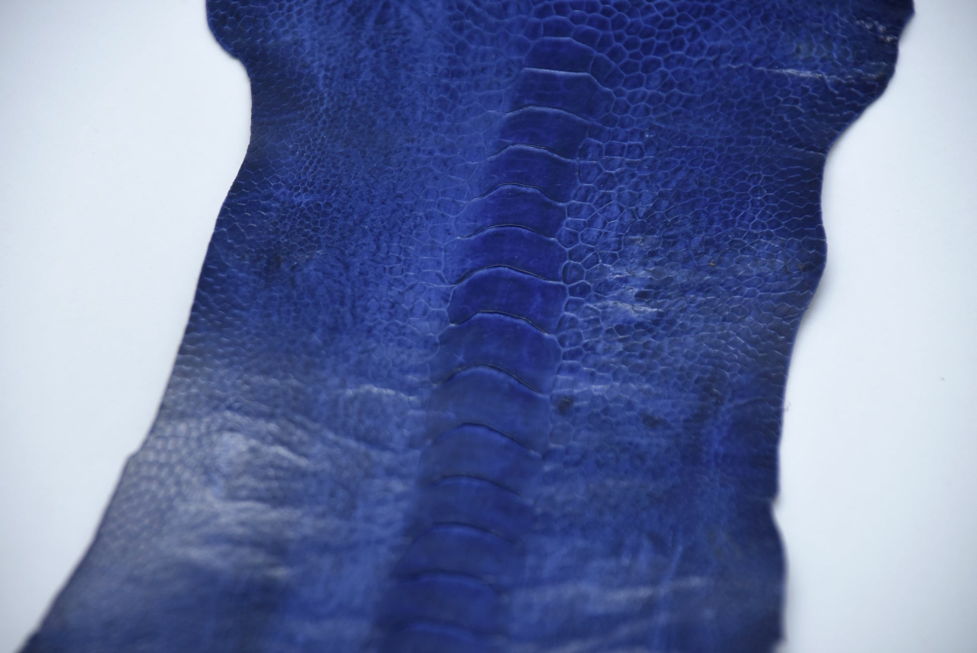 Straußenbeinleder blau