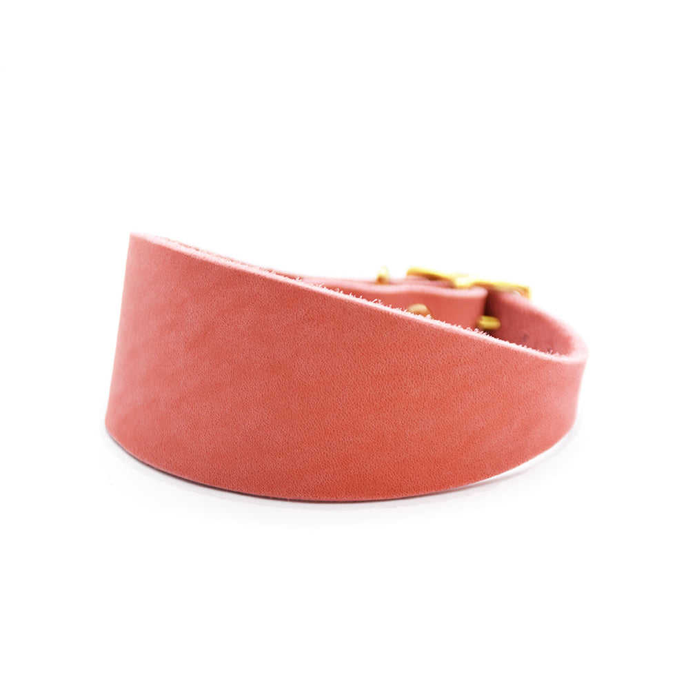 Fettlederhalsband für Windhunde in verschiedenen Farben