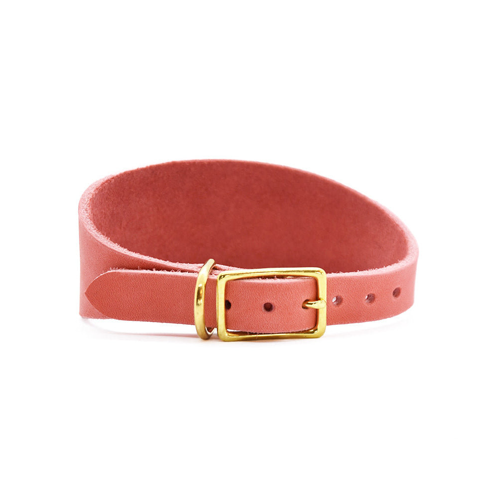 Farbauswahl Fettlederhalsband Windhund