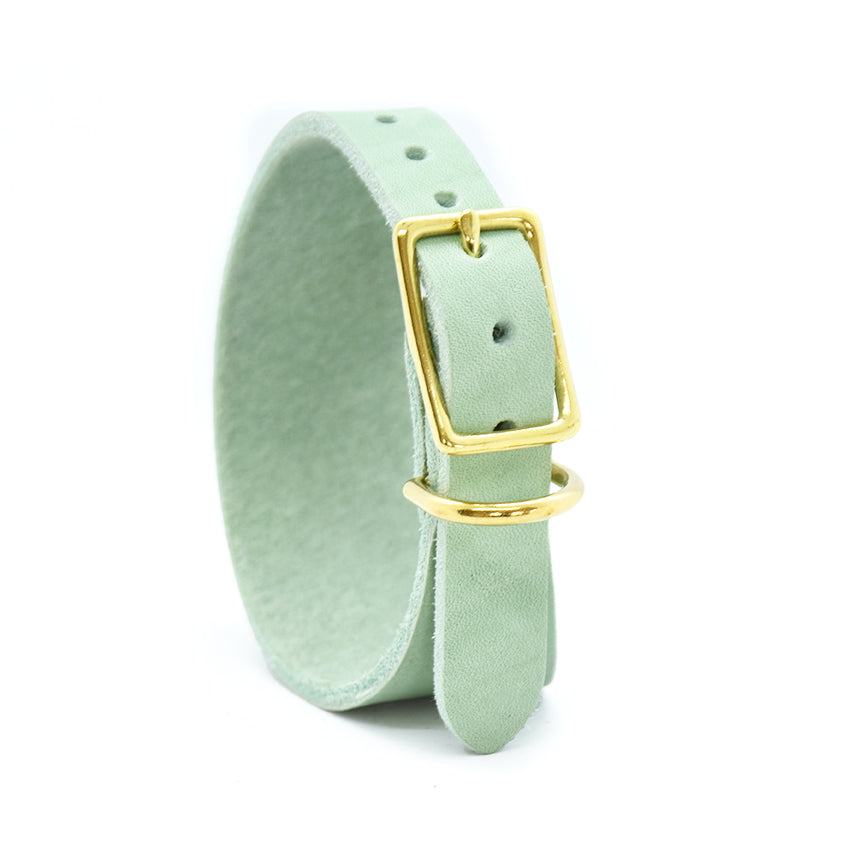 Windhundhalsband aus Fettleder nach Wunsch gefertigt