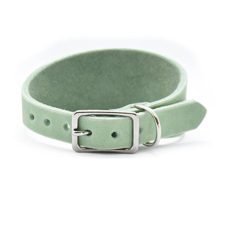 Robustes Lederhalsband für Windhunde aus Fettleder