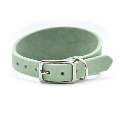 Robustes Lederhalsband für Windhunde aus Fettleder