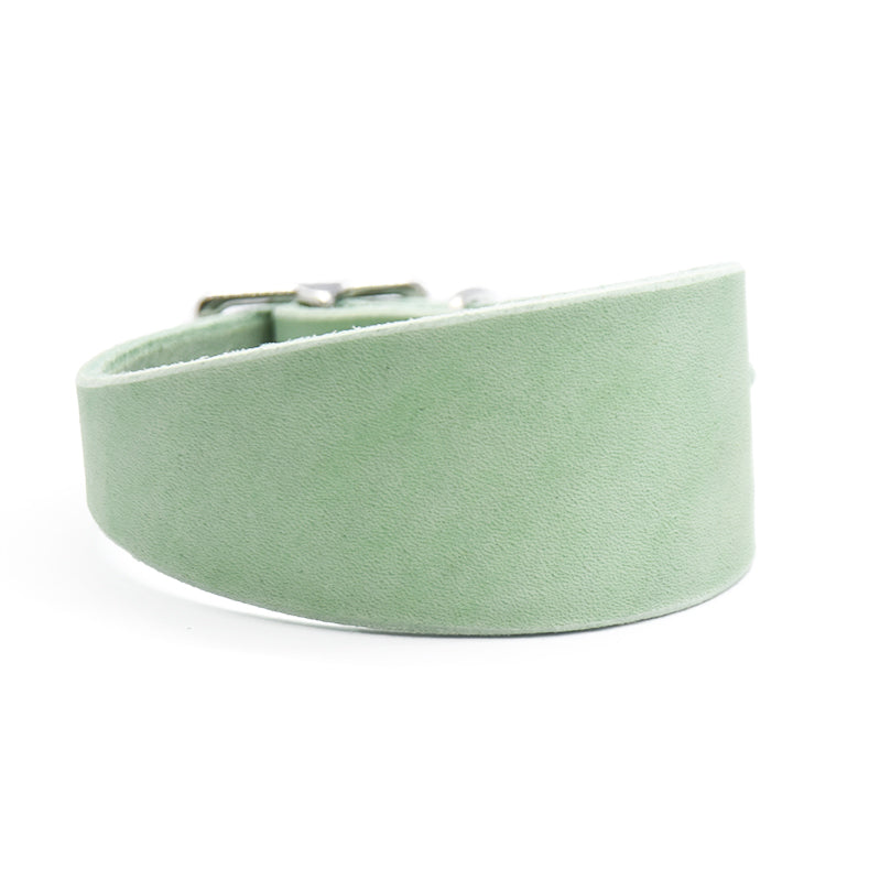 Klassisches Fettlederhalsband für Windhunde