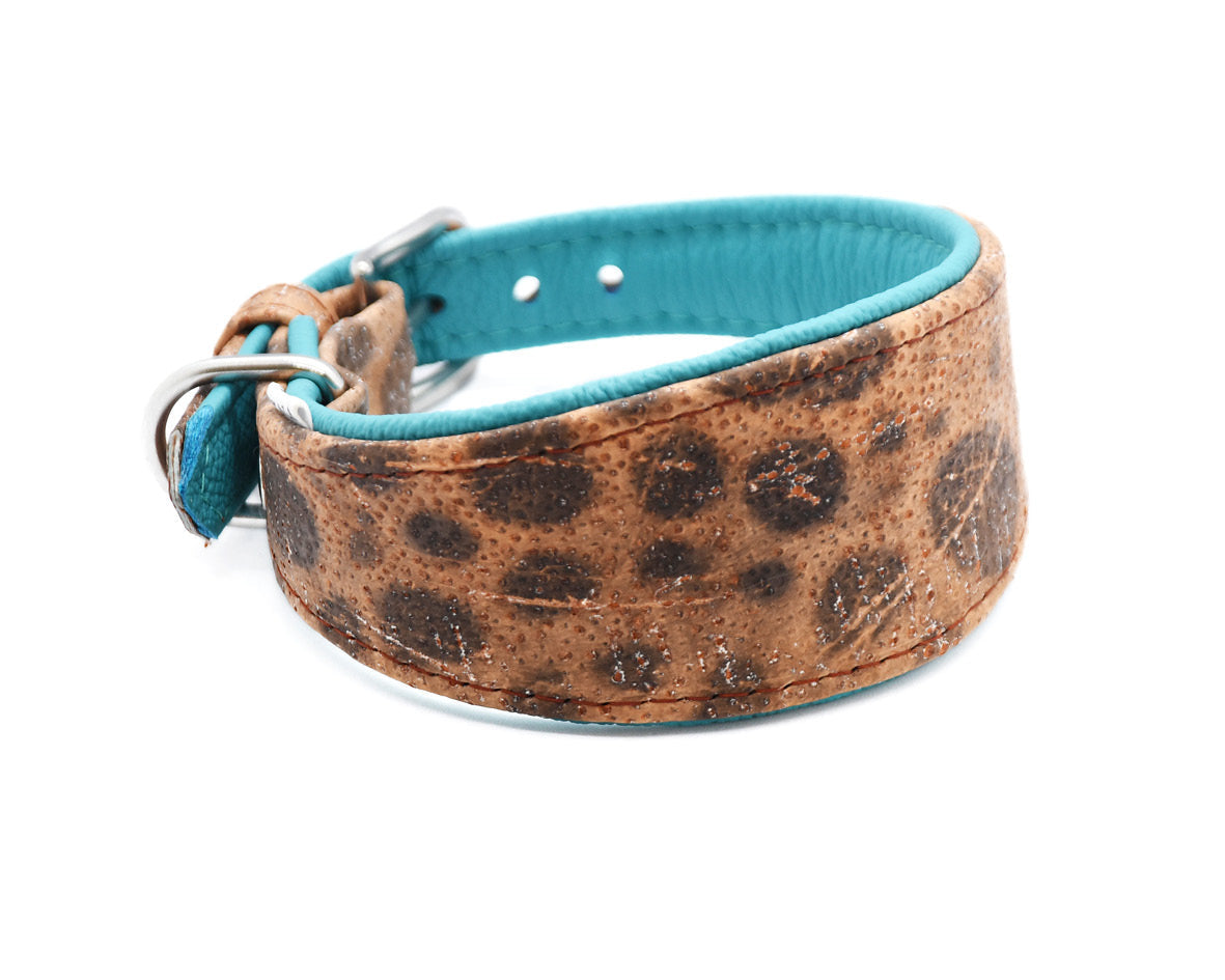 STEINBEIßER Halsband | Einzigartiges Fischleder-Halsband für Windhunde