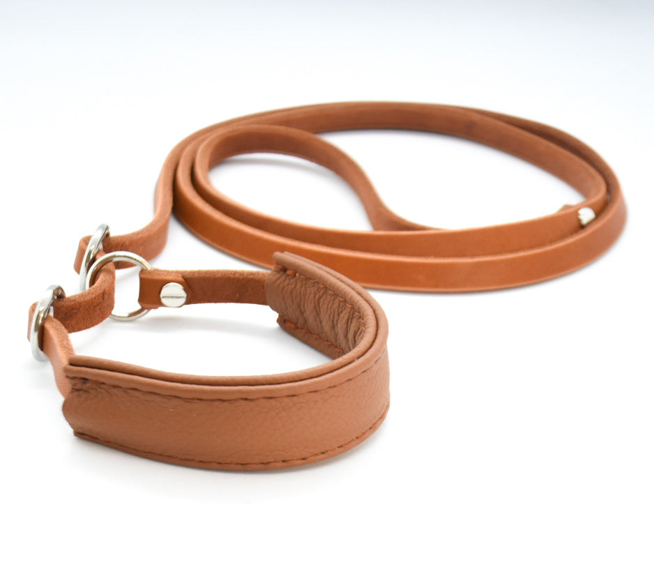 SHOW Ausstellungsleine mit Kehlkopfschutz | Showleine für Hunde