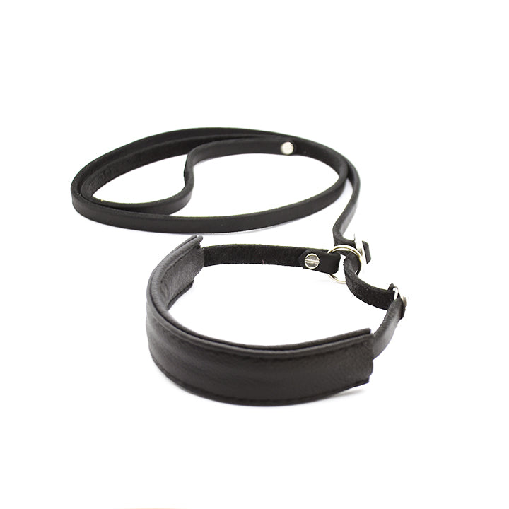 SHOW Ausstellungsleine mit Kehlkopfschutz | Showleine für Hunde