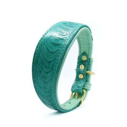 Luxuriöses Accessoire aus Straußenbeinleder – Hundehalsband mit einzigartigem Look und handwerklichem Anspruch.