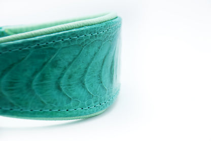 Detailaufnahme eines Hundehalsbands aus exotischem Straußenbeinleder mit eleganter Maserung und goldfarbener Schnalle.