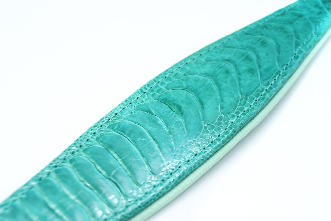 Einzigartiges Hundehalsband mit texturierter Oberfläche – gefertigt aus echtem Straußenbeinleder