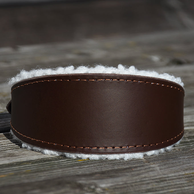 Schlichtes Lederhalsband für Windhunde mit weicher Polsterung