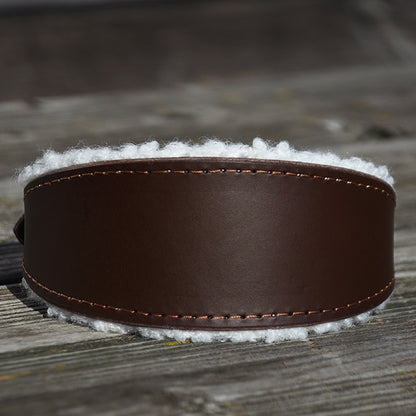 Schlichtes Lederhalsband für Windhunde mit weicher Polsterung