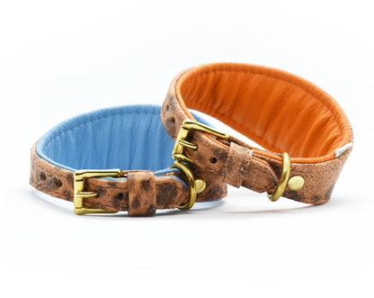 STEINBEIßER Halsband | Einzigartiges Fischleder-Halsband für Windhunde