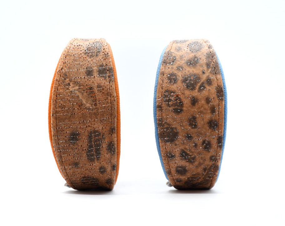 STEINBEIßER Halsband | Einzigartiges Fischleder-Halsband für Windhunde